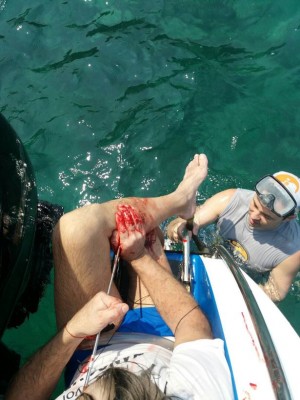 PAY-NEWSLINK3256567_83745.jpg (85.73KiB)Przejrzano 98403 razy PAY-NEWSLINK3256567_83745.jpg