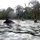 Drużynowe Mistrzostwa Polski 2019 - JESIEŃ_1