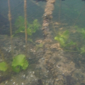 Drużynowe Mistrzostwa Polski 2019 - jesień_1