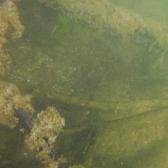 Drużynowe Mistrzostwa Polski 2019 - jesień_2