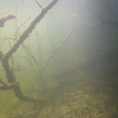 Drużynowe Mistrzostwa Polski 2019 - jesień_3