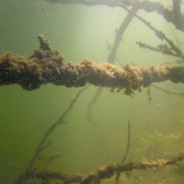 Drużynowe Mistrzostwa Polski 2019 - jesień_4