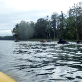 Drużynowe Mistrzostwa Polski 2019 - JESIEŃ_6