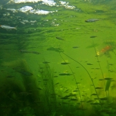 Drużynowe Mistrzostwa Polski 2018 - runda wiosenna