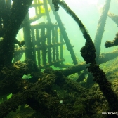 Drużynowe Mistrzostwa Polski 2018 - runda wiosenna