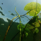Drużynowe Mistrzostwa Polski 2018 - runda wiosenna