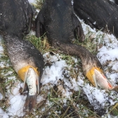 Gospodarstwo Rybackie Ełk_1