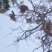 Gospodarstwo Rybackie Ełk_2