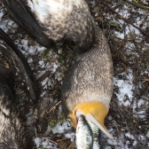 Gospodarstwo Rybackie Ełk_9