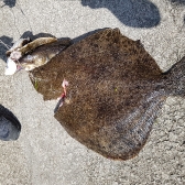 Największy turbot zawodów - 4,95 kg (Morten Jacobsen)