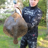 Turbot 2,5 kg - upolowany hawajką