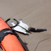 MMP 2017 KOŁOBRZEG_5