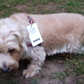 Rezerwowy drużyny Warmia i Mazury - MUNIEK