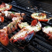 Langeland CUP 2017 - DANIA_11