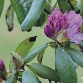 Langeland CUP 2017 - DANIA_23