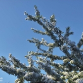 Langeland CUP 2017 - DANIA_6